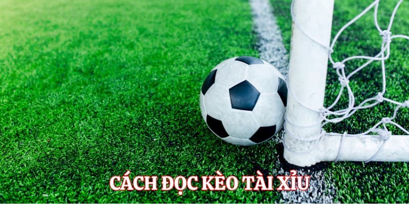 Tài xỉu bóng đá Các loại kèo tài xỉu bóng đá phổ biến hiện nay