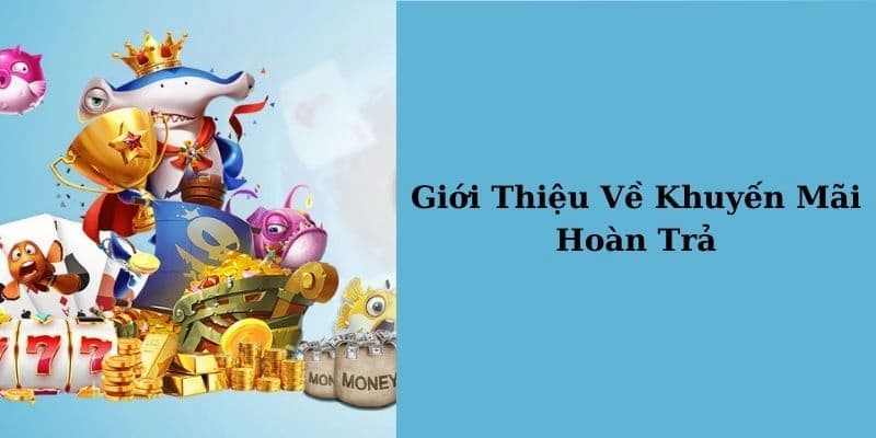 Hoàn trả tiền cược Vì sao hoàn trả tiền cược là chương trình khuyến mãi được mong đợi nhất?